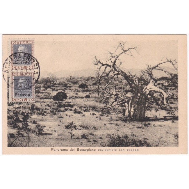 Eritrea 1930 Panorama del bassopiano occidentale con baobab