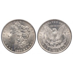 USA Morgan Dollar 1883