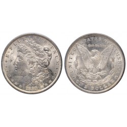USA Morgan Dollar 1889
