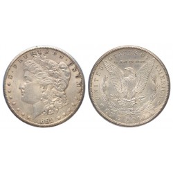 USA Morgan Dollar 1899
