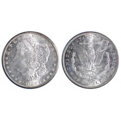 USA Morgan Dollar 1882