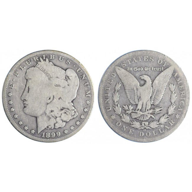 USA Morgan Dollar 1899