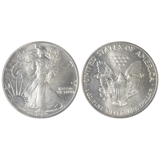 USA Silver Dollar 1989